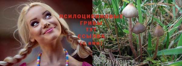 кокаин колумбия Алзамай