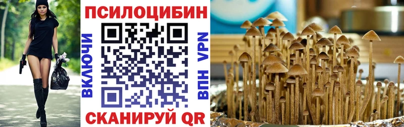 наркотики  hydra сайт  Галлюциногенные грибы Psilocybe  Дегтярск 
